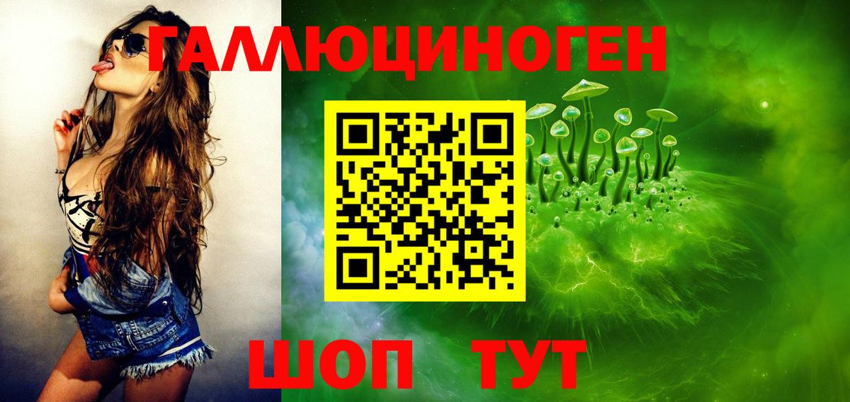 купить наркотики цена  Вход с VPN  Кстово  Галлюциногенные грибы Psilocybine cubensis  Галлюциногенные грибы Psilocybine cubensis 