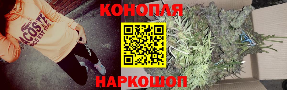 Канабис Amnesia  Каннабис тримм  Вход с VPN  МАРИХУАНА тримм  Марихуана ГИДРОПОН  Кстово 